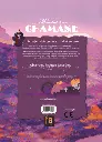 dos_chamane.webp
