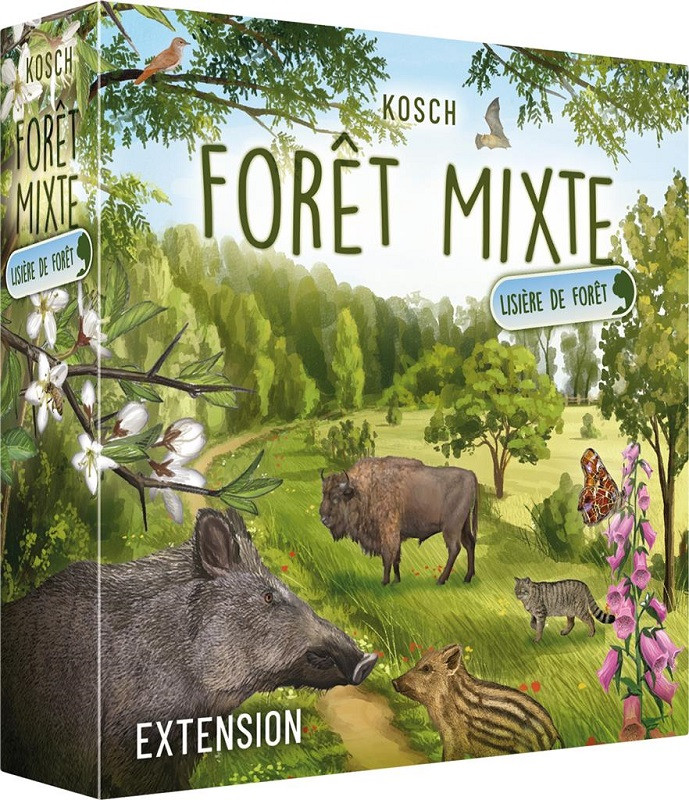 Forêt Mixte : extension Lisière de forêt