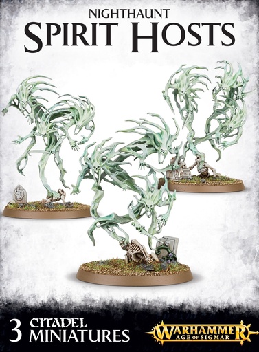 [SPIRITHOST] SPIRIT HOST
