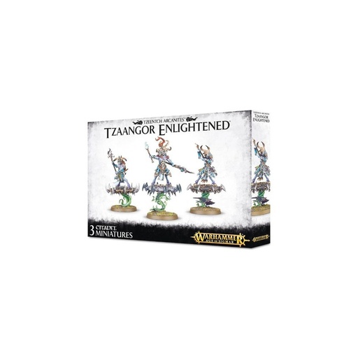 [TZAANGORENLIGHTENED] Tzaangor Enlightened